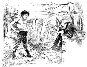 13.   .       .   , 1906 .