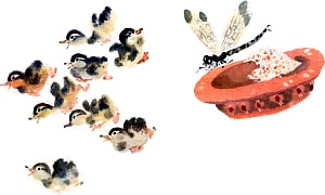 ��� ��� ������� ����������, ��� ������������ ����� ������� � ��������� � �����. ��� �������, ��� �������� �� ���� ����������. � ���� �������� �������� �� �������, ��������� ��� � ����� �������. ����������� � �������� �. �. ������� �������� �����. �������� ������� ������ ����������, 1964