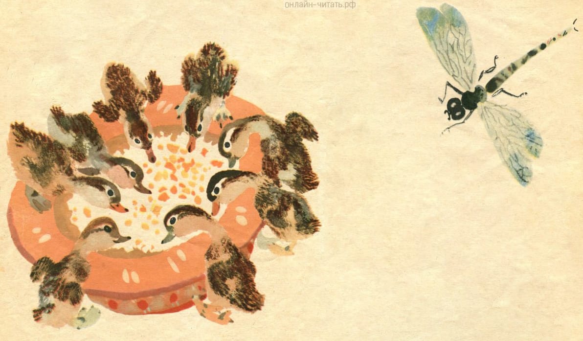 ������ ���� ������� �������� ������ ������ ������� �������� ���. ��� ������� ������� ����� �����, � ���� �������. ��� ������ ����� ��������� � �������, ����� �� ���� �������� ������� �������� � �������� ��������� ��� ����. ����������� � �������� �. �. ������� �������� �����. �������� ������� ������ ����������, 1964