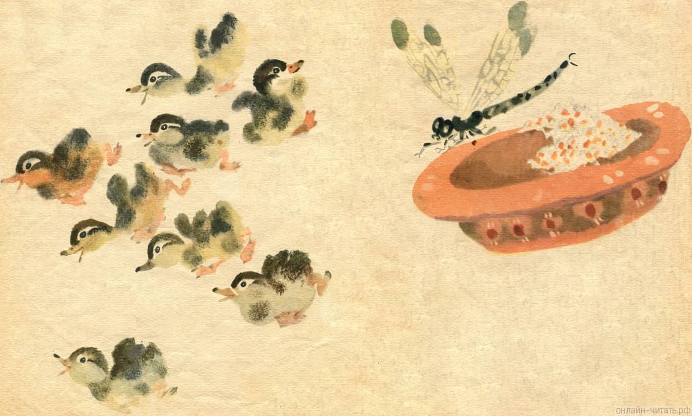 ��� ��� ������� ����������, ��� ������������ ����� ������� � ��������� � �����. ��� �������, ��� �������� �� ���� ����������. � ���� �������� �������� �� �������, ��������� ��� � ����� �������. ����������� � �������� �. �. ������� �������� �����. �������� ������� ������ ����������, 1964