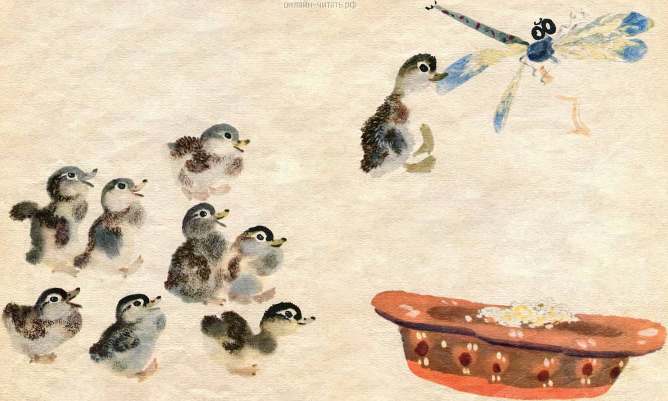 ����� ������ �������, �� ���� �� ���������. �� ������ �������� ����� �� �������, ��� ���� ������� � ������ �� �����. ����������� � �������� �. �. ������� �������� �����. �������� ������� ������ ����������, 1964