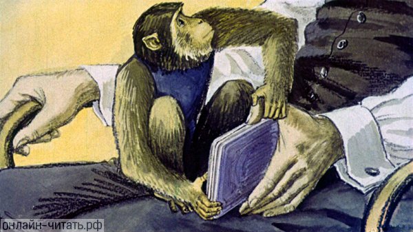         ,  ,   .    .   .  . , 1975