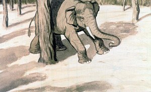 ,   - ,      . ,   .   .    ,     .       .     ,    .    .   .  . , 1976