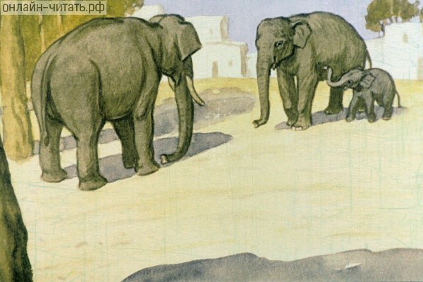  ,        ,  ;   ,  , .    .   .  . , 1976